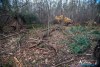 1554IMG_4689