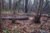 1554IMG_4690
