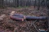 1555IMG_4692
