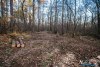1555IMG_4694