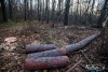 1555IMG_4695