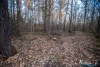 1555IMG_4698