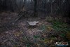 1556IMG_4699