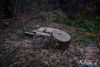1556IMG_4700
