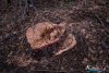 1557IMG_4709