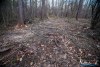 1558IMG_4711