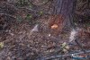 1559IMG_4717