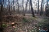1559IMG_4719
