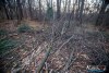 1600IMG_4722