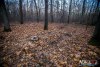 1600IMG_4724