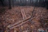 1601IMG_4725
