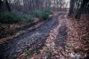 1605IMG_4729