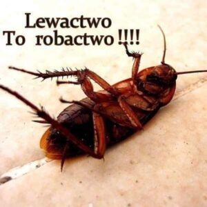 lewactwo-to-robactwo