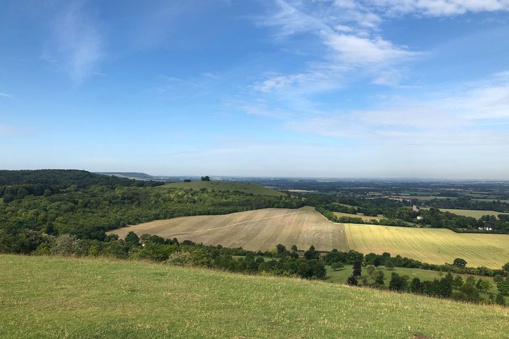 Jak sprawdzić działkę w kilka minut?